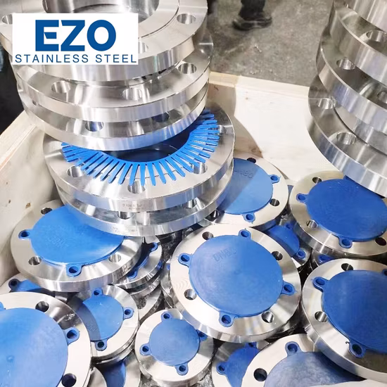Stainless Steel Big Size High Pressure API Plumbing Flange