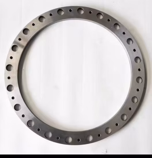 Forged Carbon Steel Big Size Bl Flange